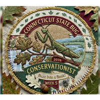 badge